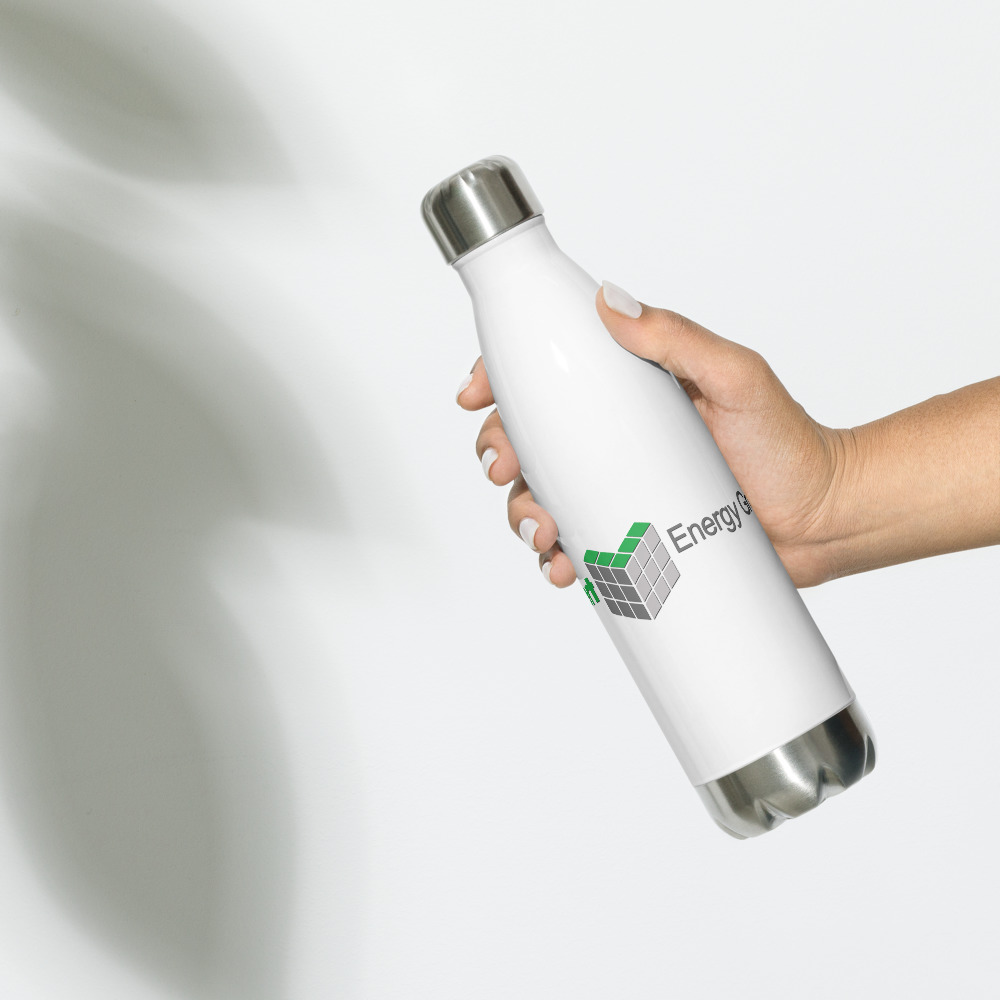 Stainless Steel Water Bottle